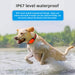 eThings 4G Pet Locator Gps Beidou Cat Dog Sheep Positioning Anti Loss Waterproof Collar Grazing Positioning Tracker - eZthings USA WE SORT ALL THE CRAZIEST GADGETS, GIZMOS, TOYS & TECHNOLOGY, SO YOU DON'T HAVE TO.