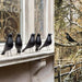 Creative decorative resin crafts ornaments for birds - eZthings USA WE SORT ALL THE CRAZIEST GADGETS, GIZMOS, TOYS & TECHNOLOGY, SO YOU DON'T HAVE TO.