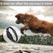 Suitable for Apple Locator Airtag Protective Case Pet Collar Pet Locating Anti-loss Dog Collar