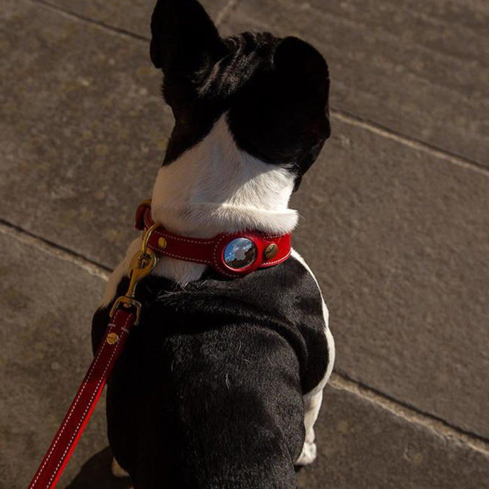 eThings Pet Anti-Loss Apple Airtag Tracker Collar Dog GPS Positioning Collar Protection Holster - eZthings USA WE SORT ALL THE CRAZIEST GADGETS, GIZMOS, TOYS & TECHNOLOGY, SO YOU DON'T HAVE TO.