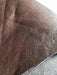 REED Leather HIDES - Cow Skins for Arts and Crafts (10 Square Foot, Antique Brown) - eZthings USA WE SORT ALL THE CRAZIEST GADGETS, GIZMOS, TOYS & TECHNOLOGY, SO YOU DON'T HAVE TO.