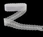 Designer Decorating Embroidered Lace and Trims for Sewing and DIY Craft Projects (10 Yard, Fancy White (1.1" Width) - eZthings USA WE SORT ALL THE CRAZIEST GADGETS, GIZMOS, TOYS & TECHNOLOGY, SO YOU DON'T HAVE TO.