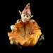 Flower Demon Ashtray Home Resin Decoration - eZthings USA WE SORT ALL THE CRAZIEST GADGETS, GIZMOS, TOYS & TECHNOLOGY, SO YOU DON'T HAVE TO.
