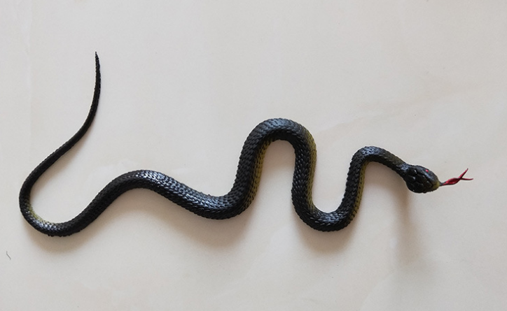 1 Pcs Halloween Jokes Interesting Prank Horror Fun Shocker Novelty Gadgets Funny Toys Animals Simulation Snake Toys