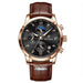 Lige Men's Quartz Watch Multifunction Chronograph Moon Phase Quartz Movement Waterproof Watch - eZthings USA WE SORT ALL THE CRAZIEST GADGETS, GIZMOS, TOYS & TECHNOLOGY, SO YOU DON'T HAVE TO.