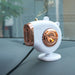 Small Sun Car Mounted Heater 12V/24V Car Heater Car Creative Fast Heating Mini Hot Fan - eZthings USA WE SORT ALL THE CRAZIEST GADGETS, GIZMOS, TOYS & TECHNOLOGY, SO YOU DON'T HAVE TO.