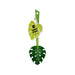 Jungle Spoon - eZthings USA WE SORT ALL THE CRAZIEST GADGETS, GIZMOS, TOYS & TECHNOLOGY, SO YOU DON'T HAVE TO.