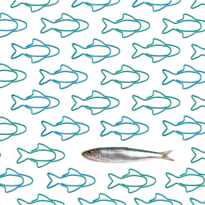 Sardine Paper Clips - eZthings USA WE SORT ALL THE CRAZIEST GADGETS, GIZMOS, TOYS & TECHNOLOGY, SO YOU DON'T HAVE TO.