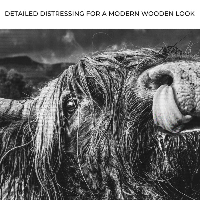 West Highland Cow Monochrome Canvas Wall Art