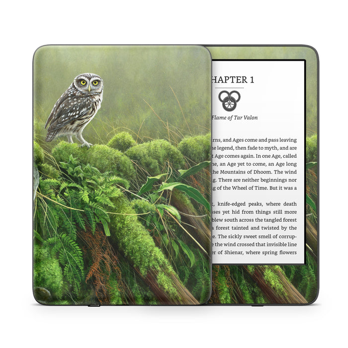Tumbledown - Amazon Kindle Skin