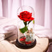 Custom Photo Text Led Night Light Glass Cover Eternal Red Rose Flower Home Desktop Decoration - eZthings USA WE SORT ALL THE CRAZIEST GADGETS, GIZMOS, TOYS & TECHNOLOGY, SO YOU DON'T HAVE TO.