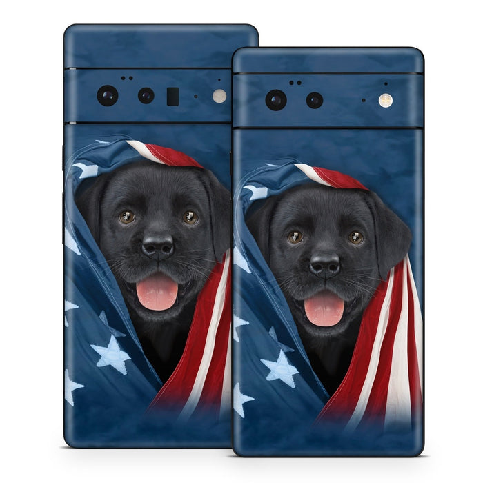Patriotic Lab - Google Pixel 6 Skin