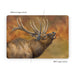Bugle Boy - Apple MacBook Skin - eZthings USA WE SORT ALL THE CRAZIEST GADGETS, GIZMOS, TOYS & TECHNOLOGY, SO YOU DON'T HAVE TO.