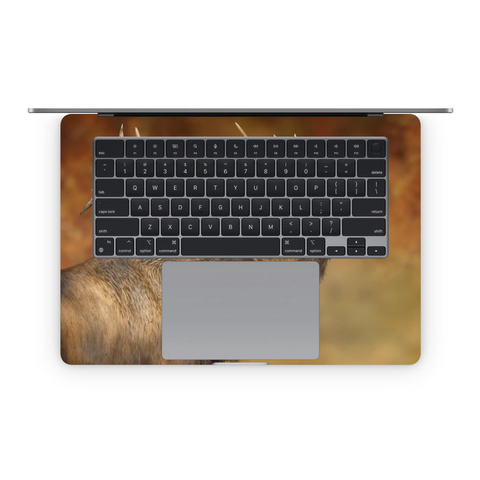 Bugle Boy - Apple MacBook Skin - eZthings USA WE SORT ALL THE CRAZIEST GADGETS, GIZMOS, TOYS & TECHNOLOGY, SO YOU DON'T HAVE TO.
