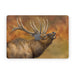 Bugle Boy - Apple MacBook Skin - eZthings USA WE SORT ALL THE CRAZIEST GADGETS, GIZMOS, TOYS & TECHNOLOGY, SO YOU DON'T HAVE TO.
