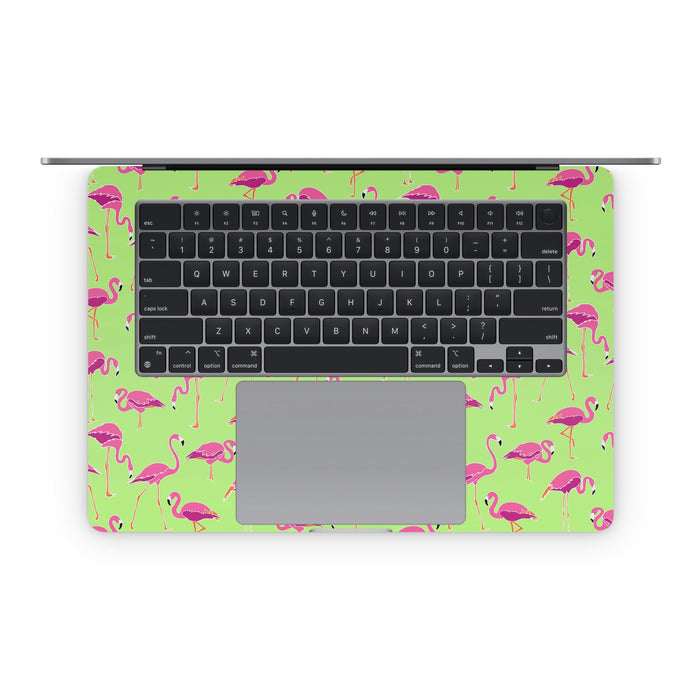 Flamingo Day - Apple MacBook Skin