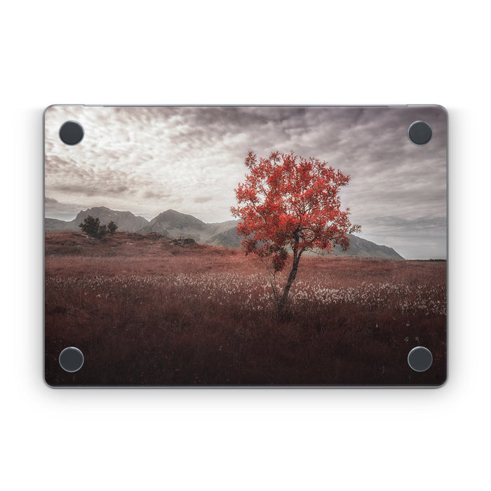 Lofoten Tree - Apple MacBook Skin