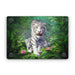 White Tigers - Apple MacBook Skin - eZthings USA WE SORT ALL THE CRAZIEST GADGETS, GIZMOS, TOYS & TECHNOLOGY, SO YOU DON'T HAVE TO.