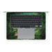 White Tigers - Apple MacBook Skin - eZthings USA WE SORT ALL THE CRAZIEST GADGETS, GIZMOS, TOYS & TECHNOLOGY, SO YOU DON'T HAVE TO.