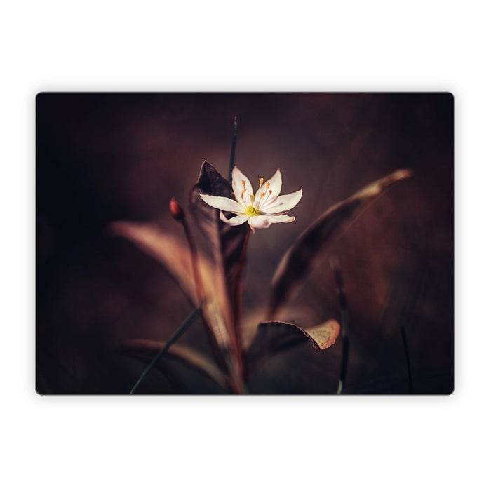 Delicate Bloom - Microsoft Surface Laptop Skin