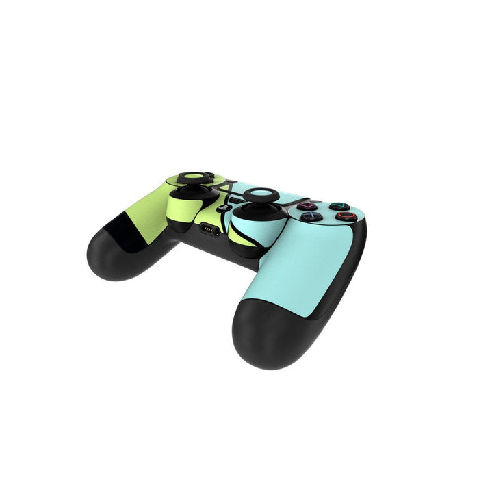 Flyover - Sony PS4 Controller Skin