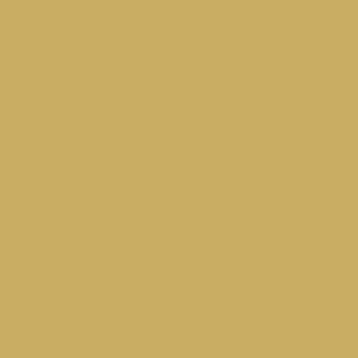 Solid State Mustard - DJI Smart Controller Skin